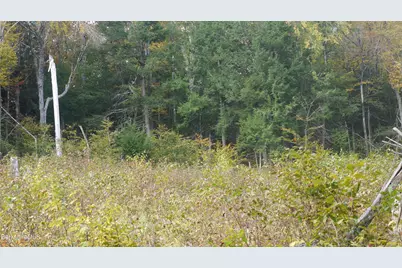 0 Town Hill Rd, Middlefield, MA 01243 - Photo 22