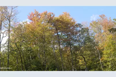 0 Town Hill Rd, Middlefield, MA 01243 - Photo 4
