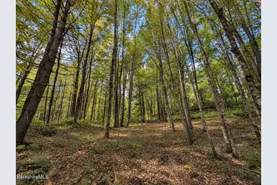 Lot 2 Ma-41, Richmond, MA 01254 - Photo 6