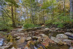 100 Walling Rd, Adams, MA 01220 - Photo 12
