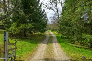 264 & 260 Main Rd, Tyringham, MA 01264 - Photo 50