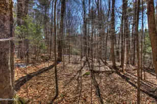 0 Tyringham Rd, Otis, MA 01253 - Photo 1