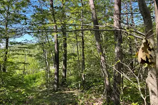 2438 Mohawk Trail, North Adams, MA 01247 - Photo 1