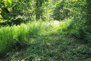 Lot 39 22 Main St, Becket, MA 01223 - Photo 1