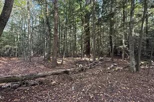 Lot6B Hopkins Ln, Becket, MA 01223 - Photo 1