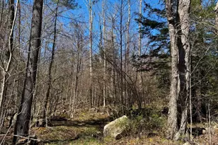 Lot 8 Captain Whitney Rd, Becket, MA 01223 - Photo 1