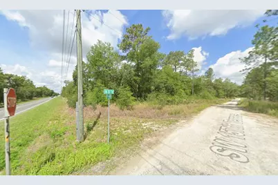 Tbd Sr 40, Dunnellon, FL 34432 - Photo 2