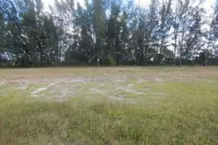 3905 NE 9th Ave, Cape Coral, FL 33909 - Photo 6