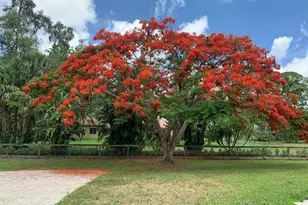 180 Elaine Rd, West Palm Beach, FL 33415 - Photo 32