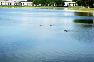 2900 Olivewood Terrace, Boca Raton, FL 33431 - Photo 42