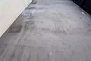 3614 Taylor St, Hollywood, FL 33021 - Photo 14