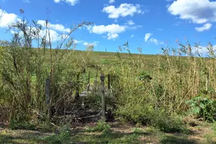 1221 Bacom Point Rd, Pahokee, FL 33476 - Photo 38