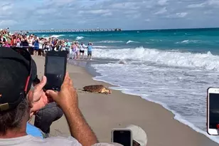 606 Mainsail Cir, Jupiter, FL 33477 - Photo 24