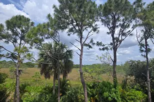 8955 Okeechobee Blvd, West Palm Beach, FL 33411 - Photo 12