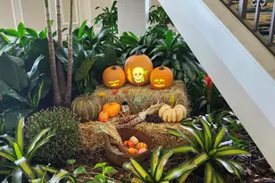 272 Tilford M, Deerfield Beach, FL 33442 - Photo 14