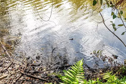 6423 Riverland Drive, Fort Pierce, FL 34982 - Photo 36