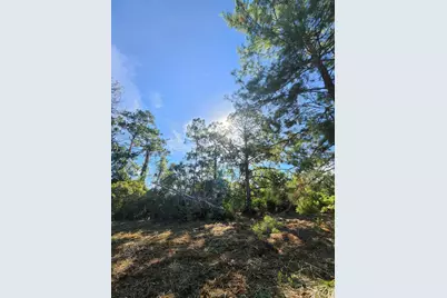 3417 State Rte 66, Sebring, FL 33875 - Photo 2