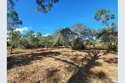 3417 State Rte 66, Sebring, FL 33875 - Photo 4
