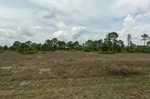 654 Mulberry Ave S, Lehigh Acres, FL 33974 - Photo 1