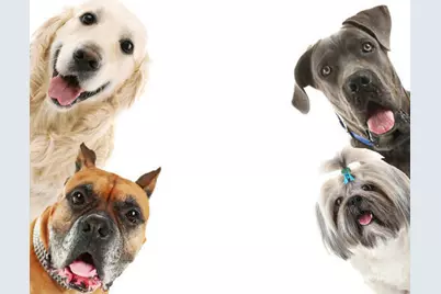 1121 Bel Air Drive #4, Highland Beach, FL 33487 - Photo 52