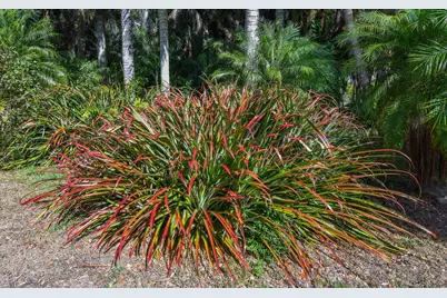 14344 N Road, Loxahatchee Groves, FL 33470 - Photo 38