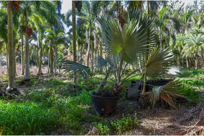 14344 N Road, Loxahatchee Groves, FL 33470 - Photo 28