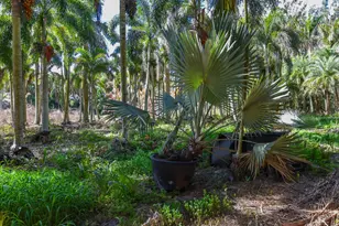 14344 N Rd, Loxahatchee Groves, FL 33470 - Photo 28