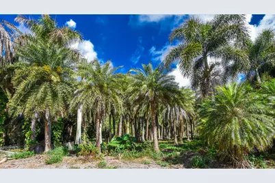 14344 N Road, Loxahatchee Groves, FL 33470 - Photo 34