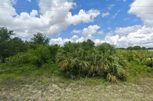 1949 Westboro Loop, Lehigh Acres, FL 33972 - Photo 1