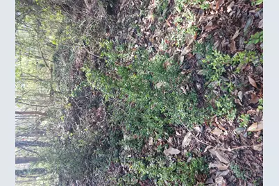 000 158 Lane, Dunnellon, FL 32024 - Photo 4