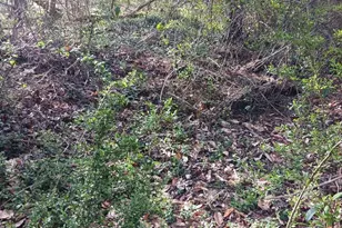 000 158 Ln, Dunnellon, FL 32024 - Photo 1