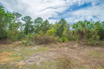 8065 126th Street, Sebastian, FL 32958 - Photo 6