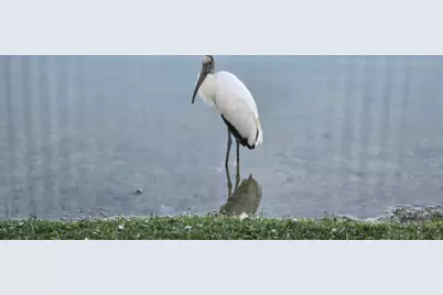 162 Plantation Boulevard, Greenacres, FL 33467 - Photo 58