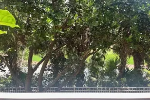 6410 Emerald Dunes Dr, West Palm Beach, FL 33411 - Photo 2