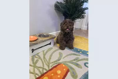 2847 Ashley Drive W #G, West Palm Beach, FL 33415 - Photo 30