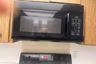 2829 Rainbow Dr, Fort Pierce, FL 34981 - Photo 12