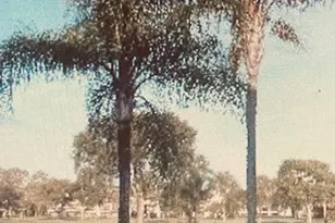 9120 SE Riverfront Terrace, Jupiter, FL 33469 - Photo 28