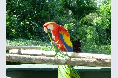 5510 N Ocean Drive #7-b, Singer Island, FL 33404 - Photo 74