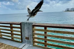 3212 NE 12th St, Pompano Beach, FL 33062 - Photo 32