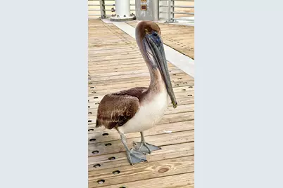 3212 NE 12th Street #506, Pompano Beach, FL 33062 - Photo 36