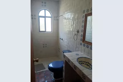 34 ViÃ±a Guadalupe, Almont, CO  - Photo 8