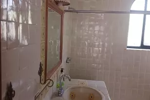 34 ViÃ±a Guadalupe, Almont, CO - Photo 16