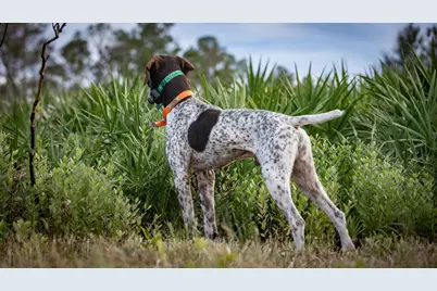 32801 Us-441 #43, Okeechobee, FL 34972 - Photo 72