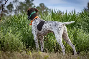 32801 US-441, Okeechobee, FL 34972 - Photo 72