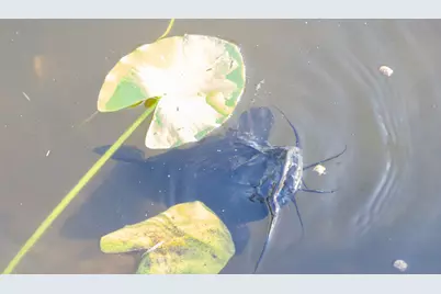 32801 Us-441 #43, Okeechobee, FL 34972 - Photo 46