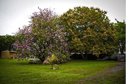 3825 Lakewood Road, Palm Springs, FL 33461 - Photo 10
