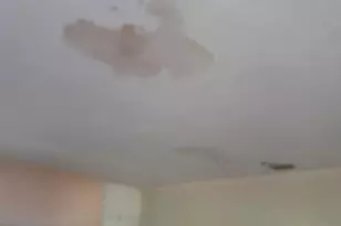 2241 Freedom St, Hollywood, FL 33020 - Photo 20