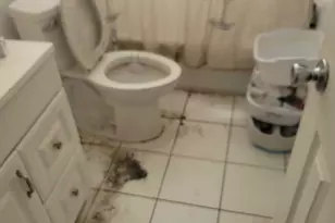 2241 Freedom St, Hollywood, FL 33020 - Photo 6