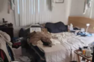 2241 Freedom St, Hollywood, FL 33020 - Photo 26