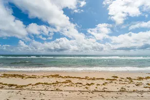 3200 NE 7th Ct, Pompano Beach, FL 33062 - Photo 58